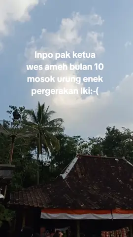 Tuku tuku cireng numpak truk dum Yo oke pa🤣k @mas an  #fyp  #inpo  #foryoupage 