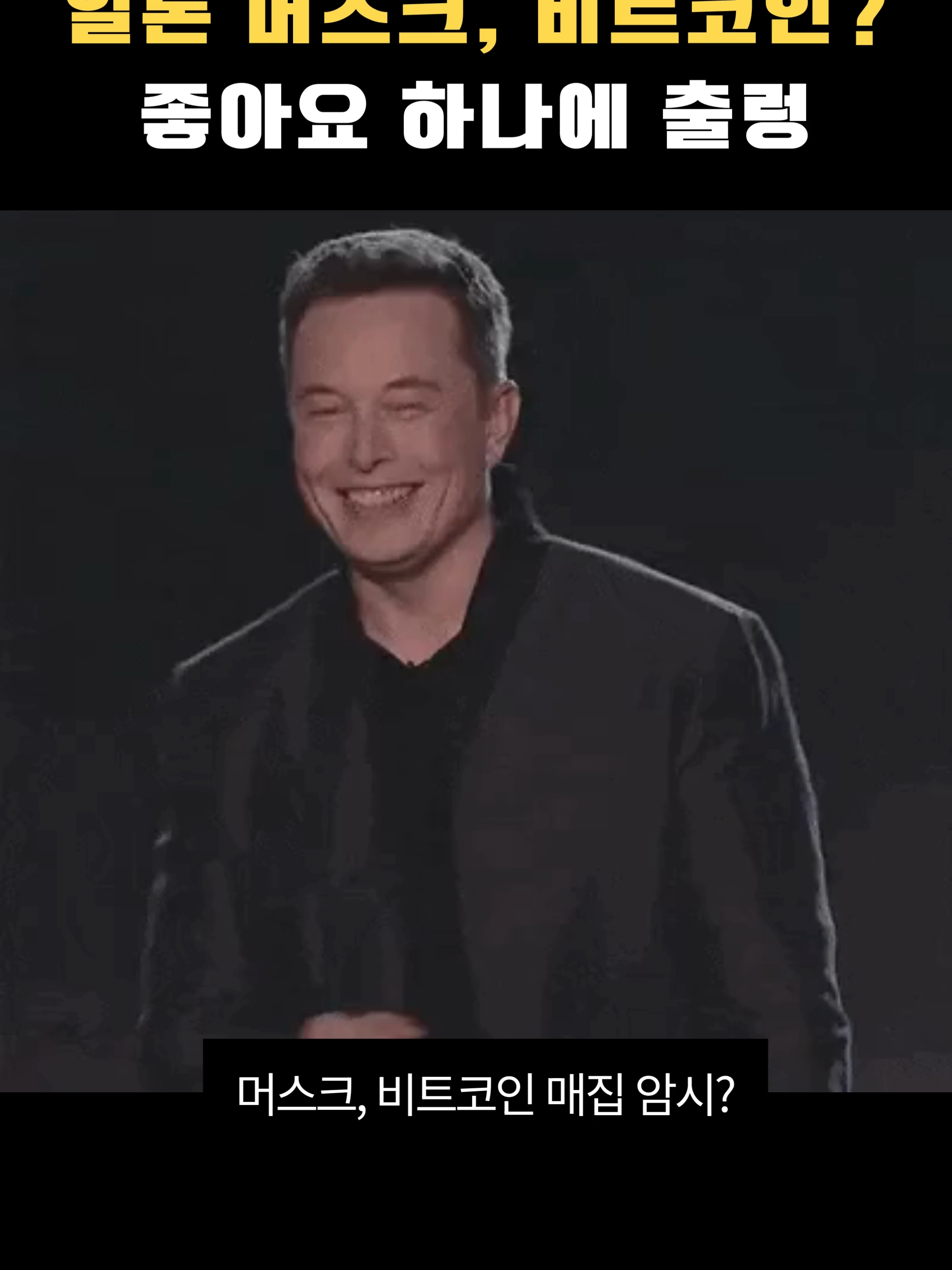 머스크, 비트코인 조용히 매집 좋아요 하나에 시장 긴장 #머스크 #비트코인