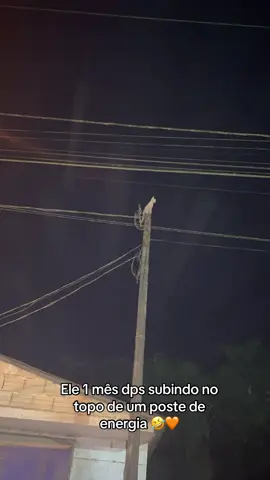 O gatinho atentado SKSKSKSK #gatolaranja #fy #foryou #foryoupage #gatostiktok 