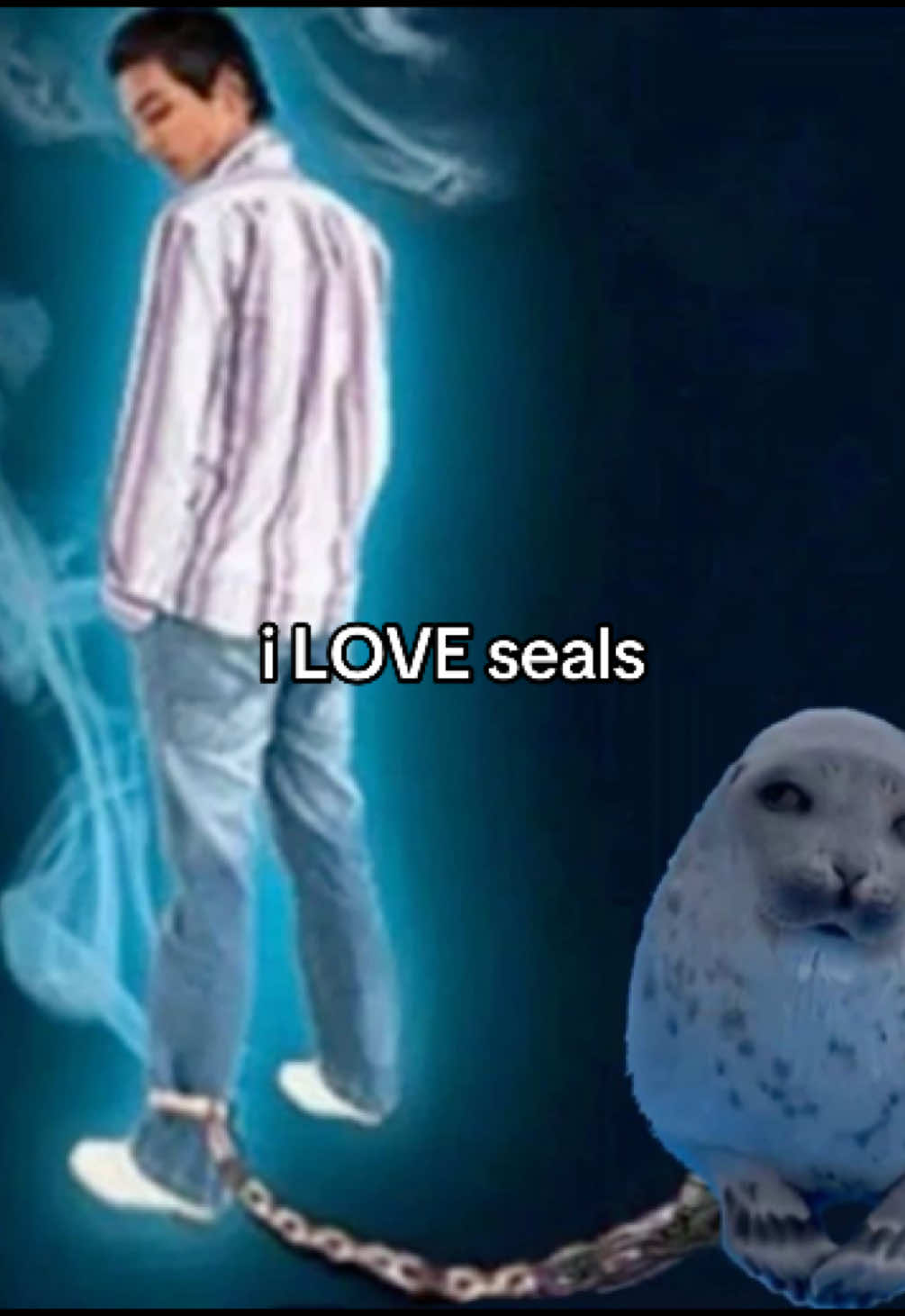 SEALS ARE SO CUTE AND AND ANDDNDNDND. SO ME AND OMG I JUST LOVE SEALS #seals #fyp 