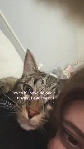 #LanguageLearning #fyp #foryoupage #relatable #cat 