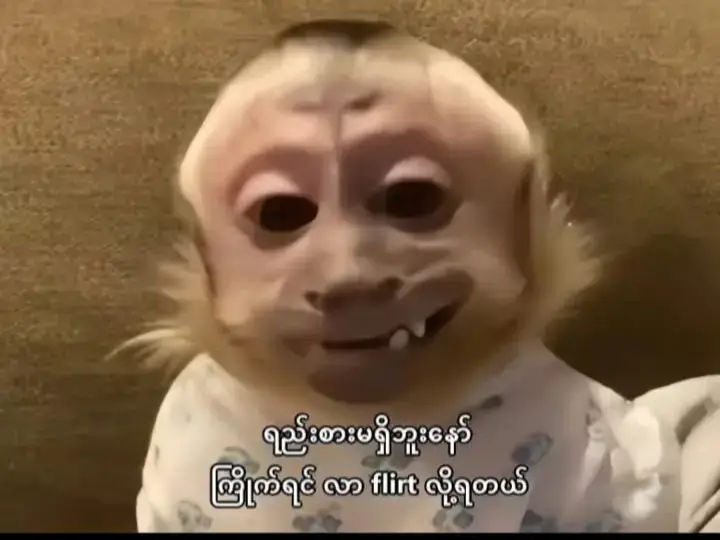 #ချစ်ကြည့်ပ့လာ🤭❤️ #foryoupage #fypシ゚viral🖤tiktok #ချစ်စရာကောင်းတာတစ်ခုပြမယ်🥺🎀 #