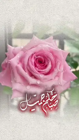 #صباحكم_أحلى_صباح🌹🌹 