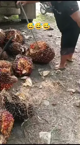 waduh waduhhh,, jgn ketawa ya sobat😁😁😁😁😁 #livehighlights  #tiktoklive  #creatorsearchinsights  #fyp 