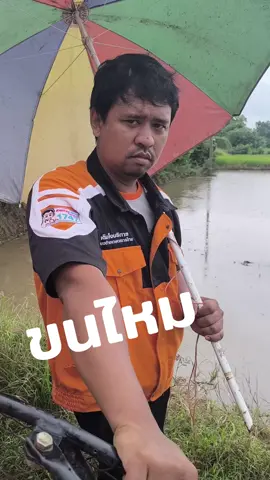 ขนไหม #เปิดการมองเห็น #ชีวิตชาวนา #สร้างรายได้ #ชาวนา #ดำนา