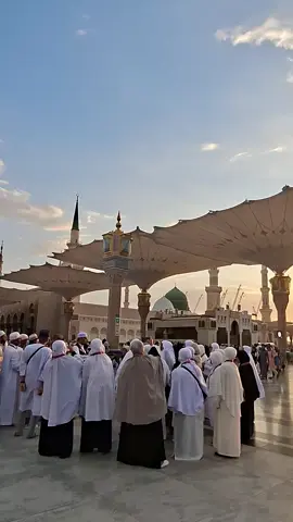 #মদিনার_পাগলআমি🕋🕋🕋🤲🤲🤲 #সবাই_একটু_সাপোর্ট_করবেন_প্লিজ 