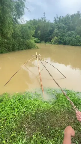 fishingnet#fishingnet #catfishing #fishing #fish #netfishing 