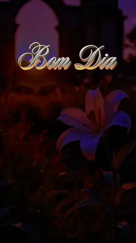 bom dia Deus, hoje é segunda-feira 