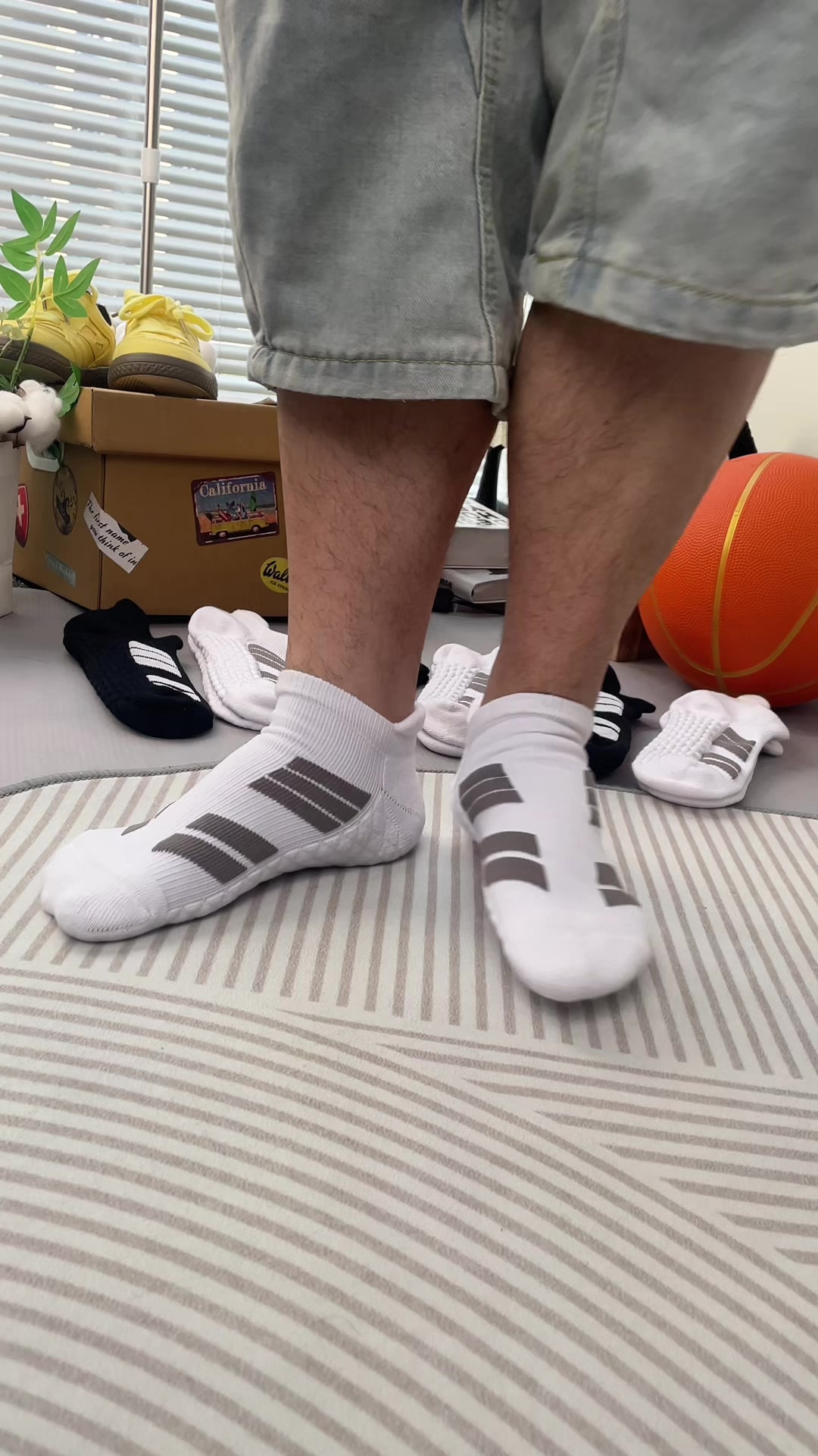 6 Pairs of Sports No Show Socks  