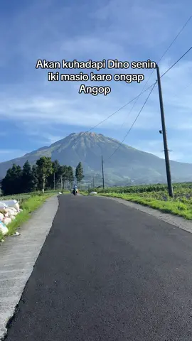Mripate koyo ganduli munyuk sak kecamatan 🤣🤣#affiliatortiktok #fypシ #fyppppppppppppppppppppppp #quoteoftheday #xybca 