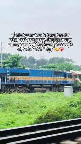 মইরা যাওনের পর আল্লাহর আফসোস কইরা একটা কথায় কমু,এই দুনিয়ার মধ্যে আমারে এতো কষ্ট দিছো,তোমার কি একটুও মায়া লাগে নাই? 