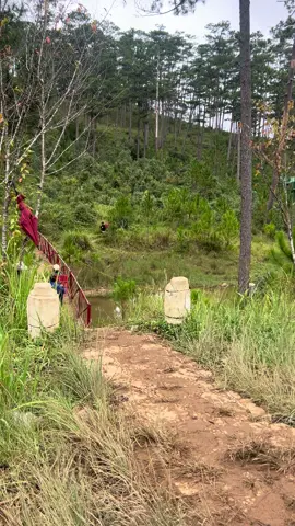 Cá tầm đi ae 