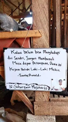Kodrat pria itu hidup untuk menghidupi, dan dunia itu kejam untuk pria miskin 🥲, semoga kita semua selalu dilancarkan rejekinya yah. .semangat 🫡 #jowostory #katakata #motivasi #storyjowo #jowopride #jowopride🔥 #capcut #tiktok #beranda #quotes #timothyronald  #academycrypto #peternakmudaindonesia #peternakkambing #suharfarmmojokerto #mojokerto24jam #sobatngaret #buka24jam #pejuangrupiah #fyp 