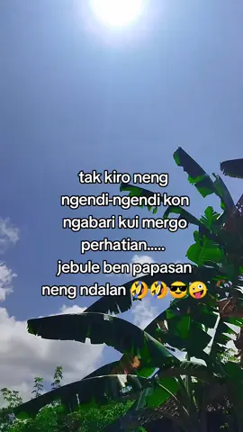 #fyp 