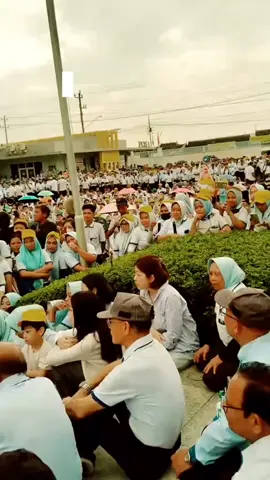 phk masal rakyat tagih janji Prabowo Soal 19 jt lapangan kerja 🤔🤔‼️#tiktok #trending #fyp 