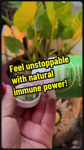 Take charge of your health today, grab a bottle and feel the difference! #rosabellamoringa #rosabella #naturalsupplements #morningroutine #cheverolets10  
