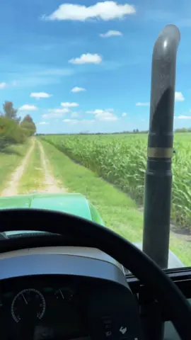 PURO DEL AGRO. 🫡🧑🏽‍🌾 #fyp #agriculture #viral #mexico🇲🇽 #rancho #paratiiiiiiiiiiiiiiiiiiiiiiiiiiiiiii #agricultura #agro #tractores #johndeere #venado 