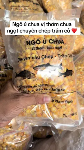 Ngô ủ chua vị thơm chua ngọt chuyên chép trắm cỏ ❤️#caucagiaitri #xuhuong #caucatunhien #caucatramden #docaucuongnd 
