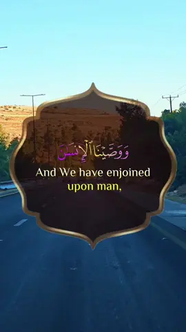 #CapCut ووصينا الانسان بوالديه إحسانا #قران_كريم #القرأن_حياة_quranislife #صلوا_على_رسول_الله 