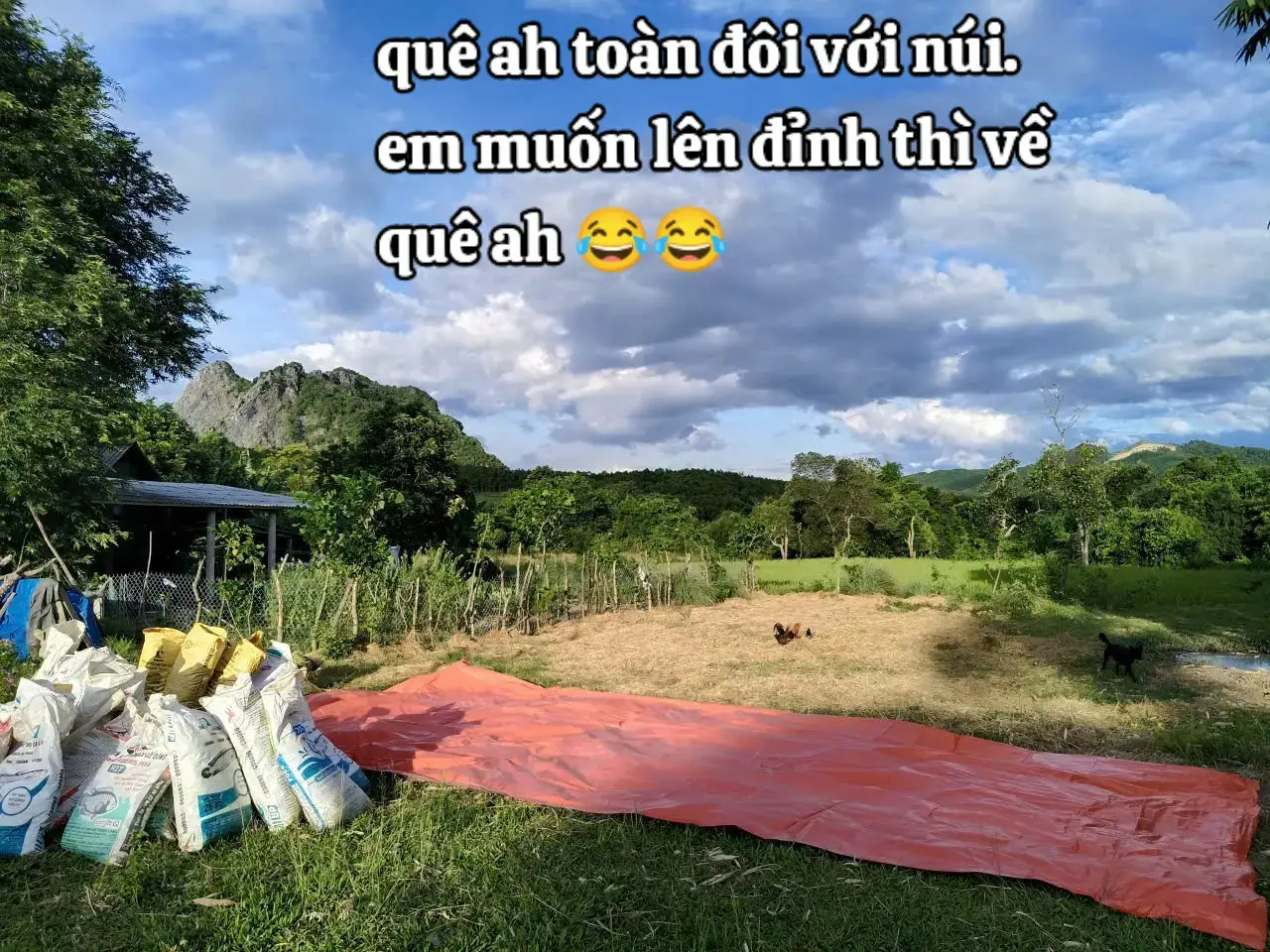 #quêhươngtôi 