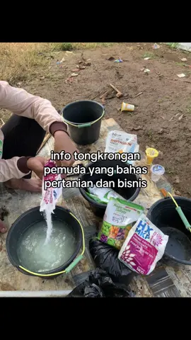 Info info masee🤙#petaniindonesia🇮🇩🇮🇩🇮🇩🌿🌿 #petanimilenial #fyppppppppppppppppppppppp #petanimuda #fyp 