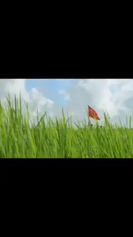 #နာကျင်ရတယ်ဗျ💔 #2021.2.1#ဒီနေ့လိုနေ့ 