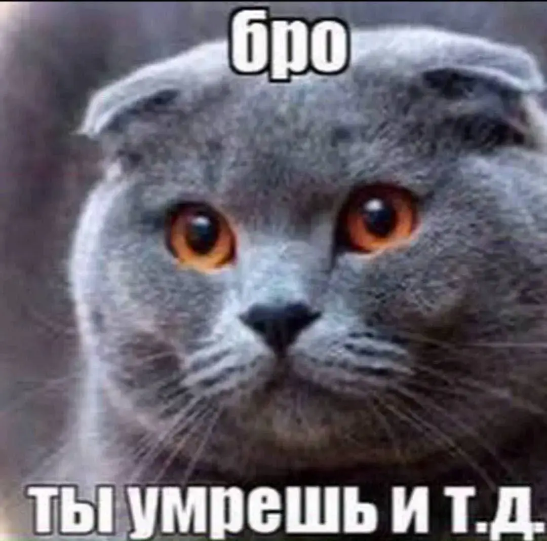#LanguageLearning #ржака #мем #метаирония 