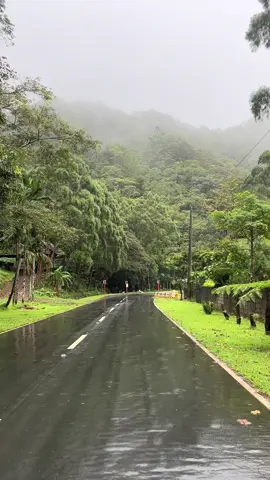 nature heals 🫶
