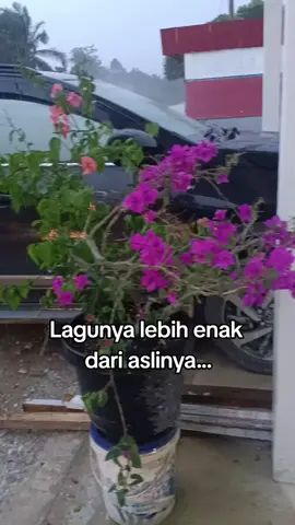 Lagunya lebih enak dari aslinya
