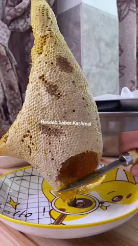 Cutting Fresh Honeycomb 😋🍯 #reels #honeybees #trendingnow #natural #nature #bee #wild #wildlife #fyp #reelsvideo #foryou #Amazing #reelstagram #satisfying ❤️@Haseeb Baber 2 @Haseeb Baber @Haseeb Ullah Khan 