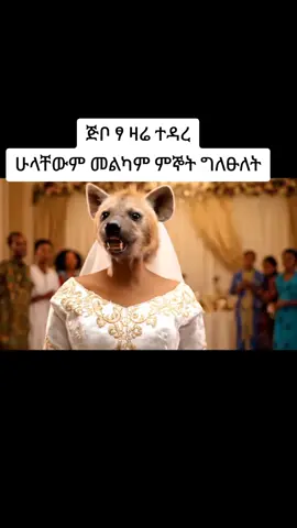 #habeshatiktok @Veronica Adane 