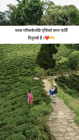 ilam❤️🫶 #ilammuser🌱 #fypシ #fyp #foryoupage #fypシ゚viral @सन्तोष इम्सङ लिम्बू 💖💐💝 @⚠️ ERROR ⚠️ @▶️SL__99 vlog 