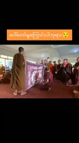 #တရားတွေပေါက်နေကြတာပေါလေ