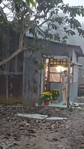 Tự nhiên lướt trúng mấy video tết làm nôn dữ chời 🤣🧨🏵🎋 #tết2026🌸🌸🧧🎆🎇 