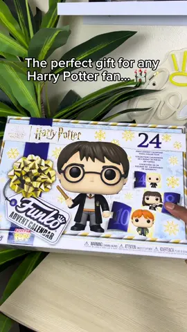 Its actually perfect 🥹🎄 #harrypotter #giftideas #christmas 