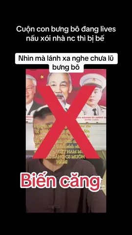 Lưới trời lồng lộng. Tuy thưa nhưng khó thoát #nguyenphuonghang 