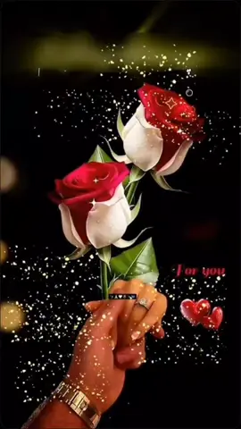 صبااااح الورد🌺🌺🌺 ✯¸.•´*¨`*•✿ ✿•*`¨*`•.¸✯ ─── ･ ｡ﾟ☆: *.☽ .* :☆ﾟ. ─── #صباحاتي_الجميلة🌸 #تركيا🇹🇷اسطنبول🎧🖇🇯🇴 #🥀ــــــــــــــہہہـ٨ـــ٨ـ💔🖤 #في هذا اليوم 