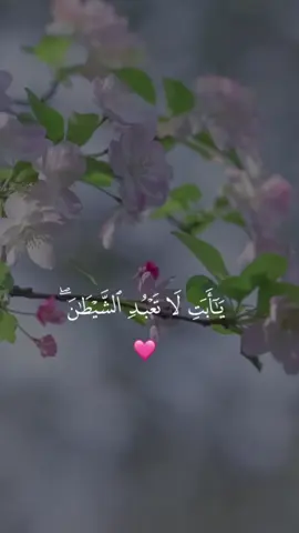 #قران_كريم 