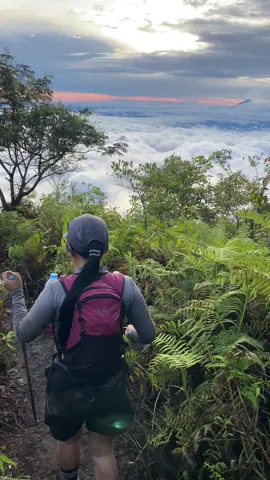 🏔️🌨️☁️@Gunung Pesawaran 1662 MDPL #mtpesawaran#lautanawan 