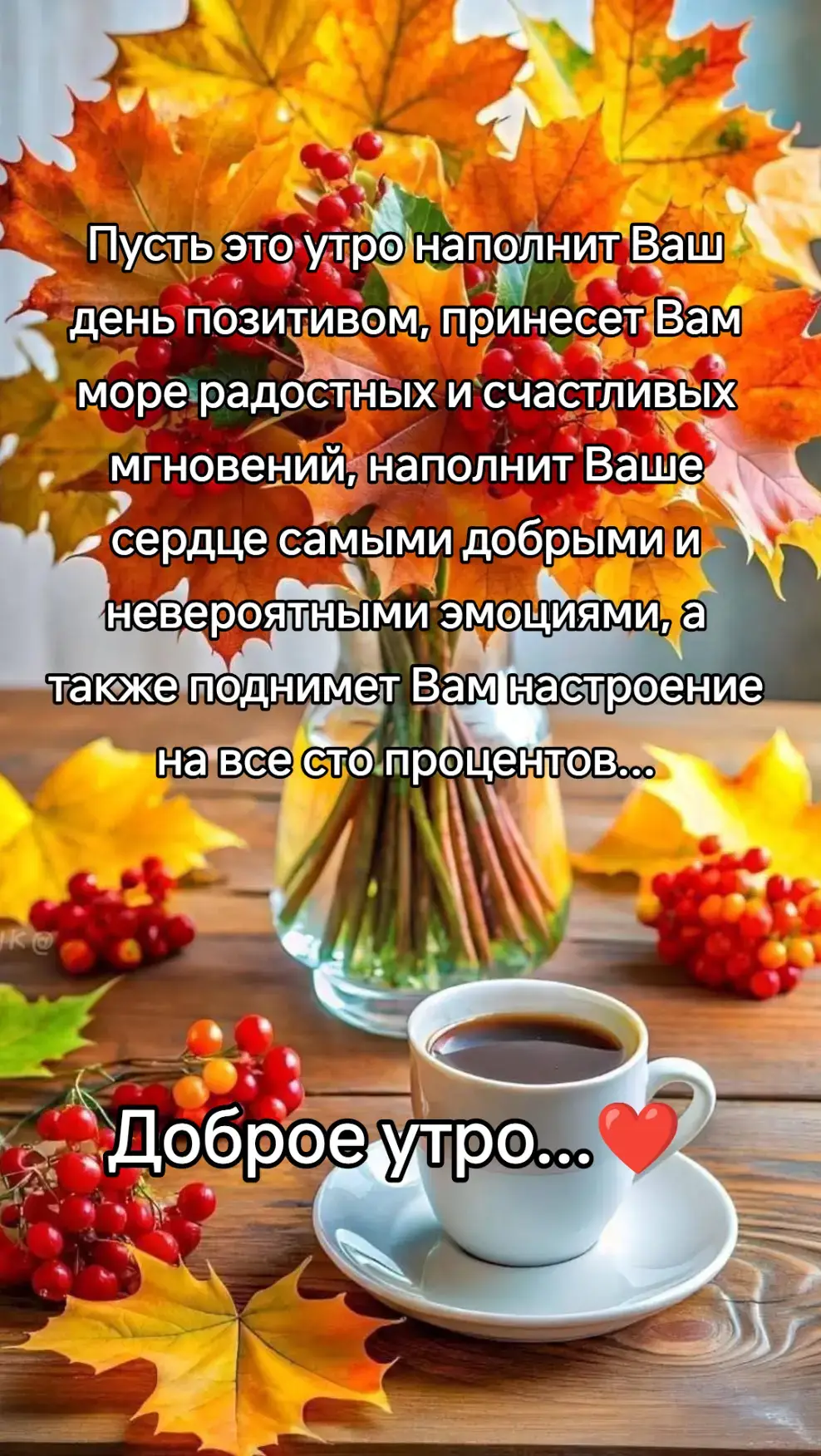 #Liza❤️🙏 #доброеутро #2025 #люблю❤️ #
