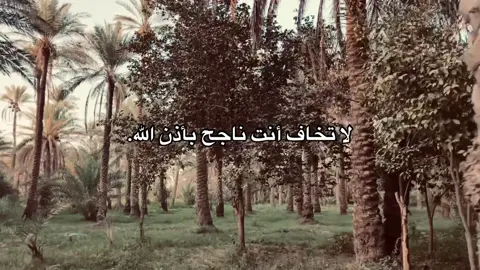 لا تخاف أنت ناجح بأذن الله #حسين_بن_كربلاء #h_u_s7n2 #h_u_s7n #كربلاء_مدينة_العشق_والعاشقين🖤 #امتحانات #ناجح 