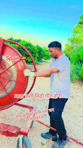 स्पेन कृषिको काम धमा धम चलिरहेको छ  #acriculture #wok 