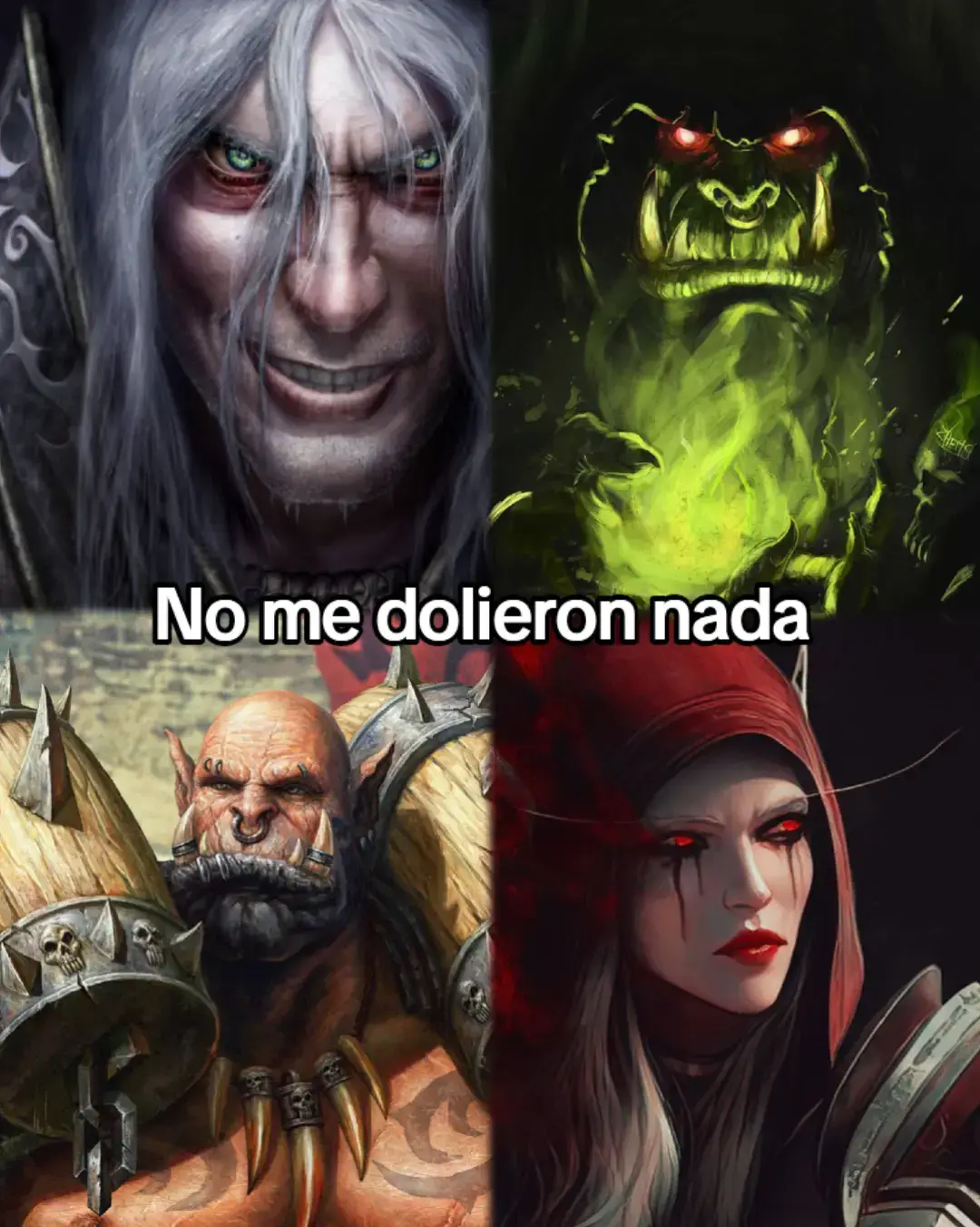 #worldofwarcraft #blizzardentertainment #fypシ゚ #parati #viral 