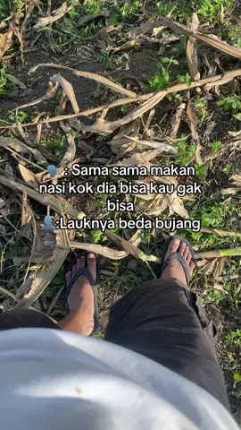 #fyp 