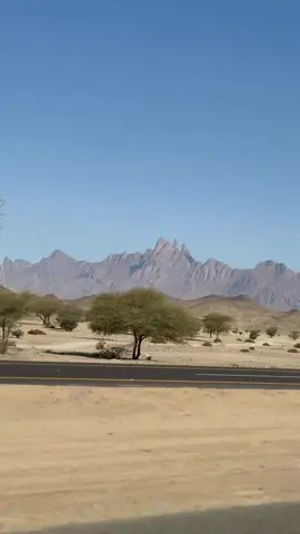#تبوك_الان #خلاوي #كلسبور2025 #جبل شار#