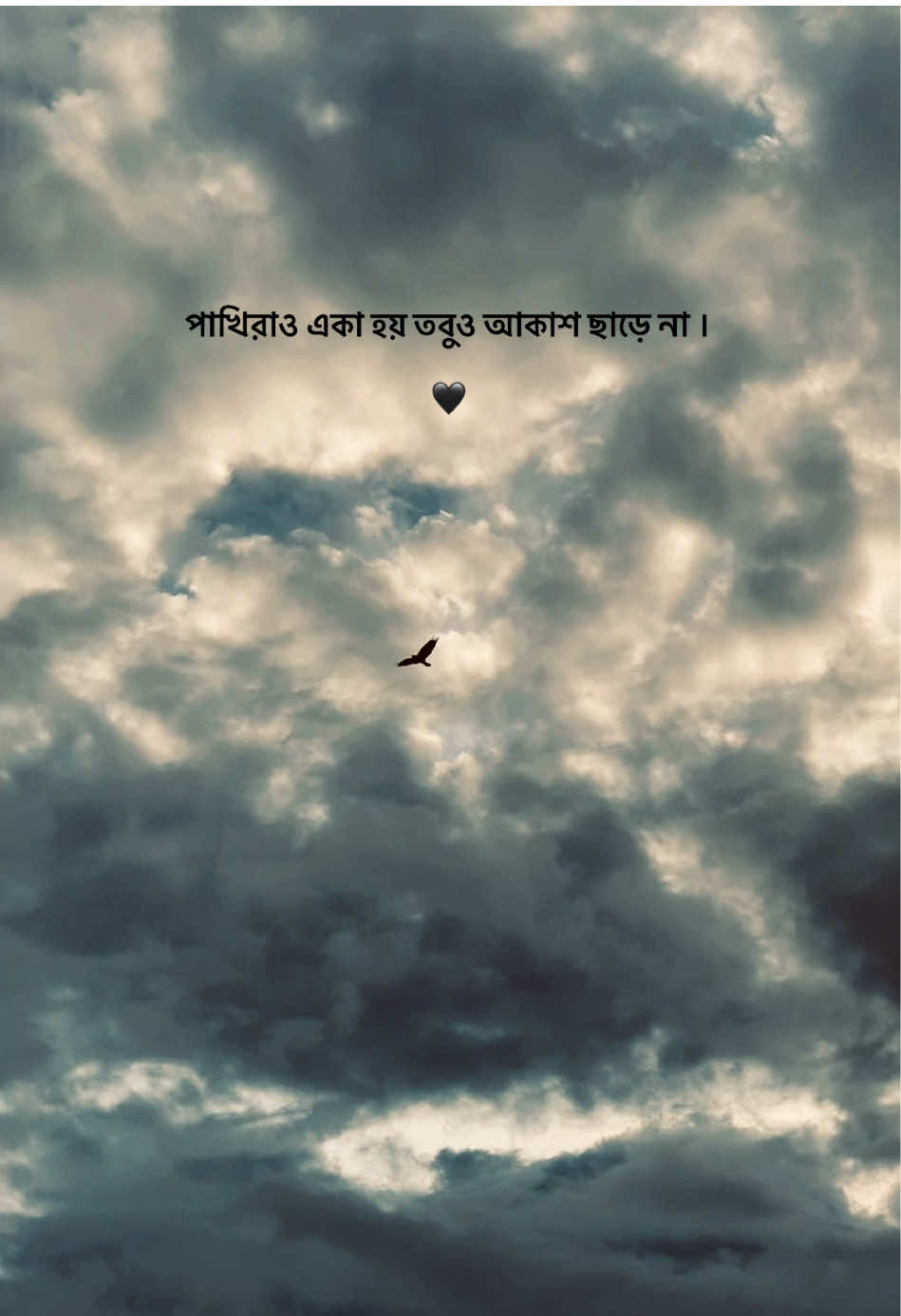 পাখিরাও একা হয় তবুও আকাশ ছাড়ে না ।#fyp #foryoupage #fyyyyyyyyyyyyyyyy #mdratulrahman01 @TikTok 