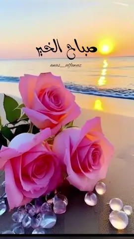#صباح_الخير #islamic_video #رسول_الله_صلى_الله_عليه_وسلم #رسول_الله_صلى_الله_عليه_وسلم #رسول_الله_صلى_الله_عليه_وسلم 