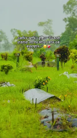 #foryou #viral #fyp 