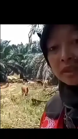 #trending #fyp #viral 