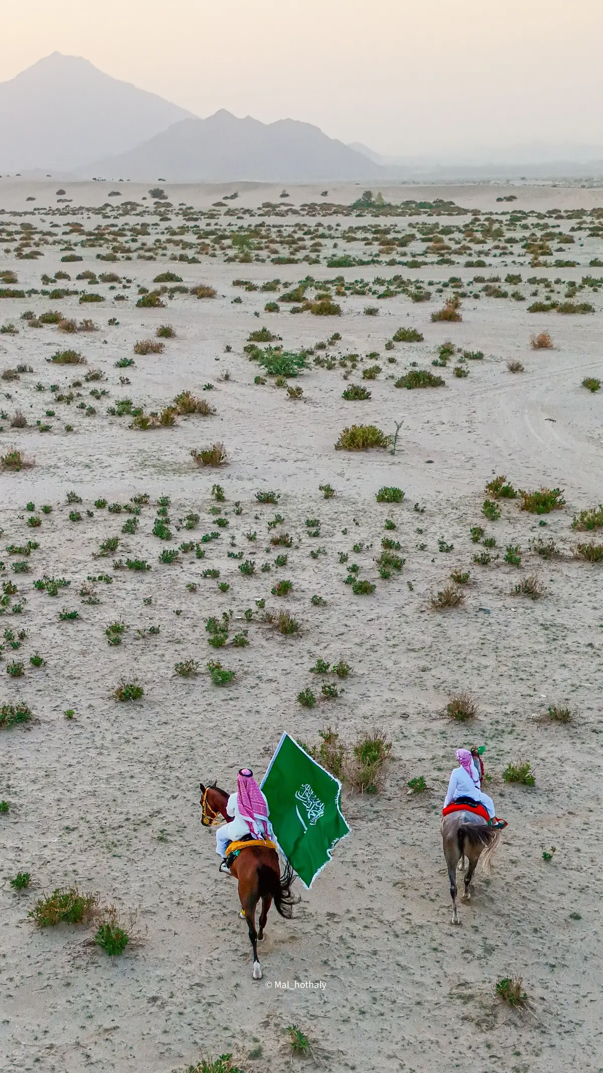 #اليوم_الوطني_السعودي_95‬⁩ #اليوم_الوطني 🇸🇦💚